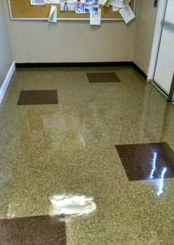 Floor Stripping and Waxing in Wayne, MI 