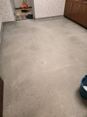 Commercial Floor Strip & Wax in Brighton, MI (1)