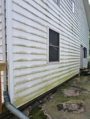 Before & After Residential Pressure Washing in Dimondale, MI (3)