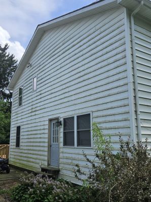Before & After Residential Pressure Washing in Dimondale, MI (5)