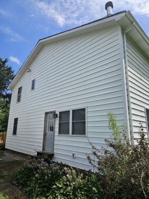 Before & After Residential Pressure Washing in Dimondale, MI (6)