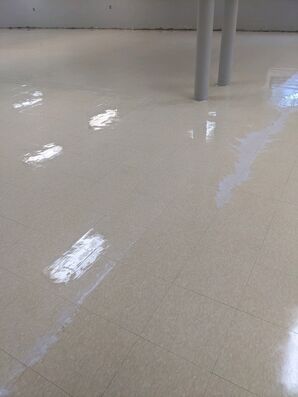 Floor Strip & Wax Services in Williamston, MI (5)