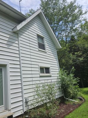 Before & After Residential Pressure Washing in Dimondale, MI (8)