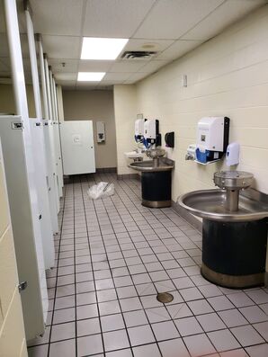 Before & After Restroom Deep Cleaning in Dansville, MI (1)