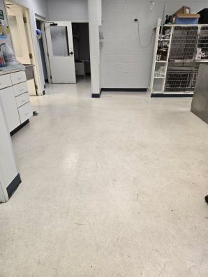 Floor Top Scrub at a Vet Clinic in Okemos, MI (1)