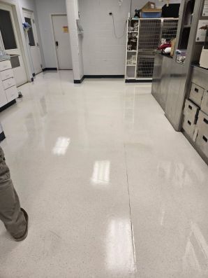 Floor Top Scrub at a Vet Clinic in Okemos, MI (2)