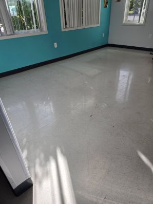 Floor Top Scrub at a Vet Clinic in Okemos, MI (3)