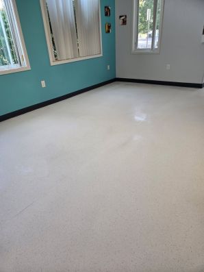 Floor Top Scrub at a Vet Clinic in Okemos, MI (4)